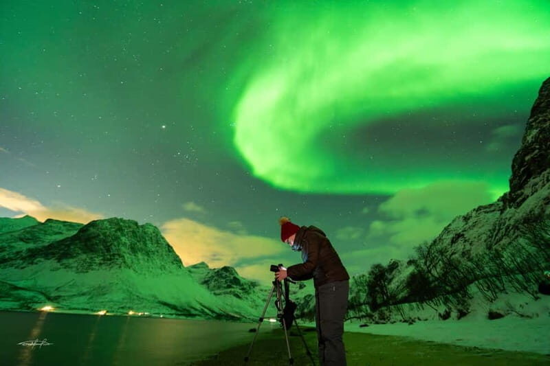 Tromsø: Northern Lights Safari - The Value for Money