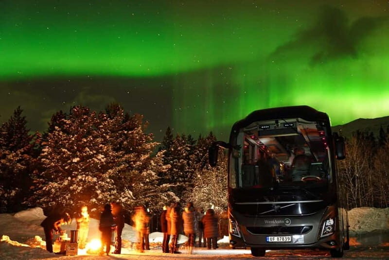 Tromsø: Northern Lights Safari - Final Thoughts