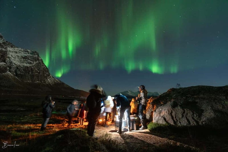 Tromsø: Northern Lights Safari w/ Experienced Guide & Photos - Key Points