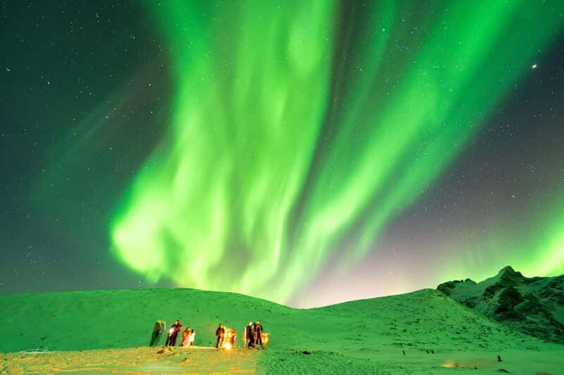Tromsø: Northern Lights Safari w/ Experienced Guide & Photos - FAQ