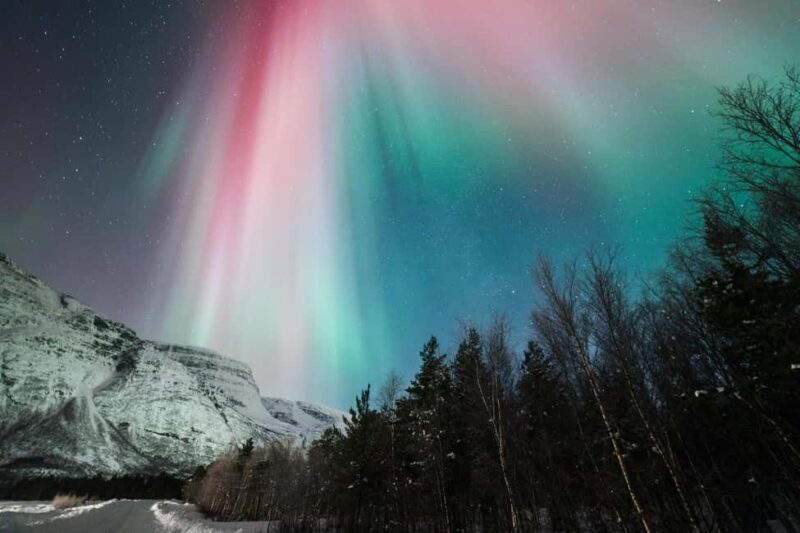 Tromsø: Northern Lights tour, local experts, free photos - The Value & Practical Considerations
