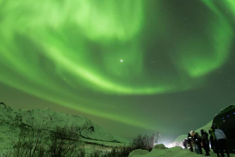Tromsø: Northern Lights tour, local experts, free photos - Final Words