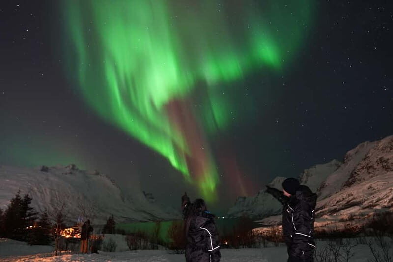 Tromsø: Northern Lights Tour with Free Professional Photos - Who Should Consider This Tour?