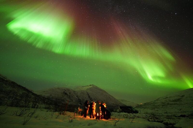 tromso-northern-lights-tour-with-free-professional-portrait