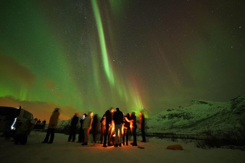 tromso-northern-lights-tour-with-free-professional-portrait