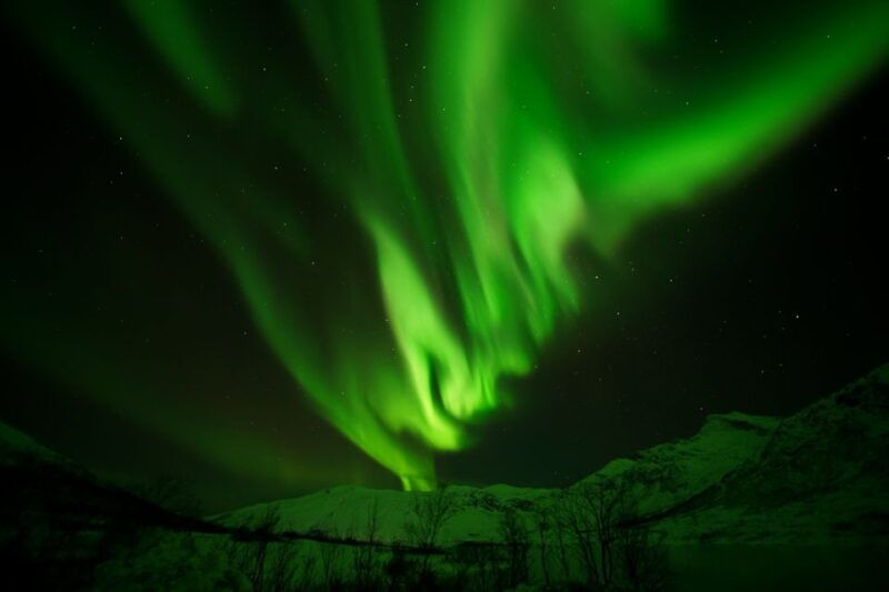 tromso-northern-lights-tour-with-free-professional-portrait