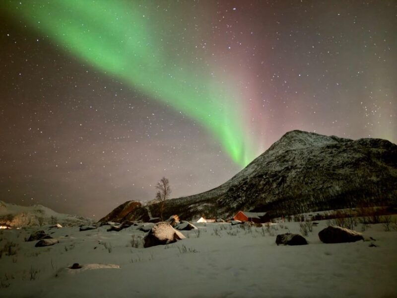 tromso-northern-lights-tour-with-hot-food-and-drinks