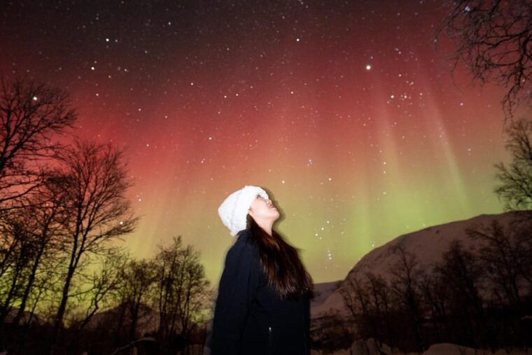 tromso-northern-lights-tour-with-local-guide-and-photos