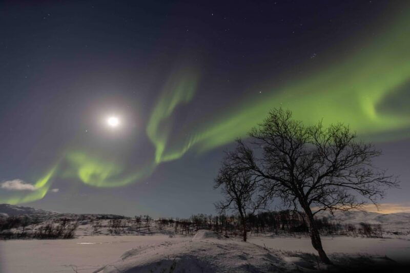 tromso-northern-lights-tour-with-local-guide