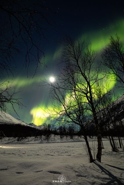 tromso-northern-lights-tour-with-photographer