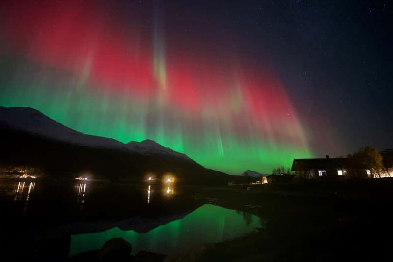 Tromsø: Northern Lights Tour with small group, minibus - An In-Depth Look at the Experience