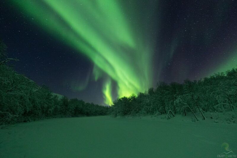 tromso-northern-lights-trip-with-campfire-and-snacks
