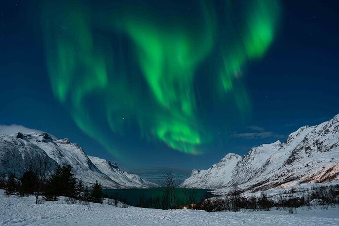 tromso-northern-lights-with-campfire-and-proffessional-photos-2