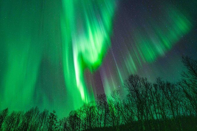 tromso-northern-lights-with-campfire-and-proffessional-photos