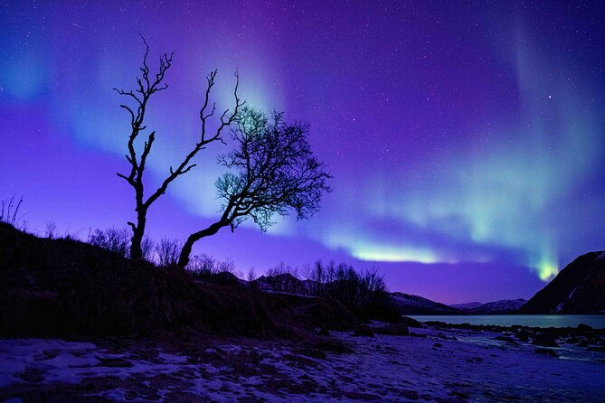 tromso-northern-lights-with-campfire-and-proffessional-photos