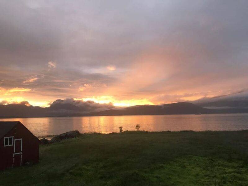 tromso-norwegian-farmvisit-with-guide