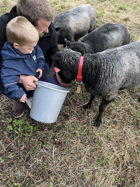 tromso-norwegian-farmvisit-with-guide