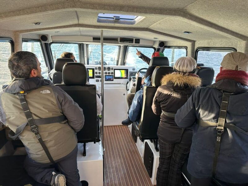tromso-orca-and-whale-watching-comfort-heated-boat-trip