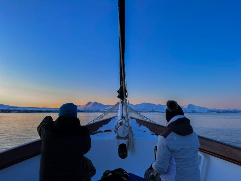 tromso-polar-fjord-cruise-on-a-luxury-yacht-with-lunch