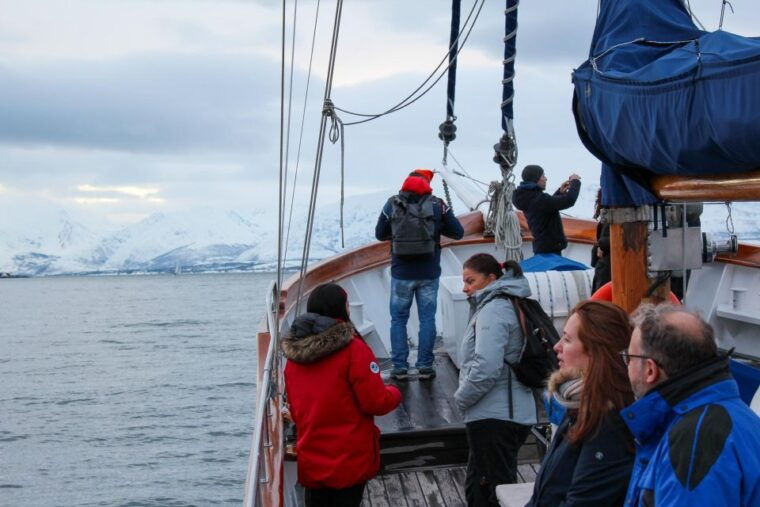 tromso-polar-fjord-cruise-on-a-luxury-yacht-with-lunch