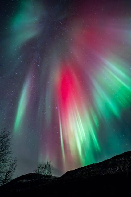 tromso-polar-lights-in-focus-tour-german-english-minibus-meal
