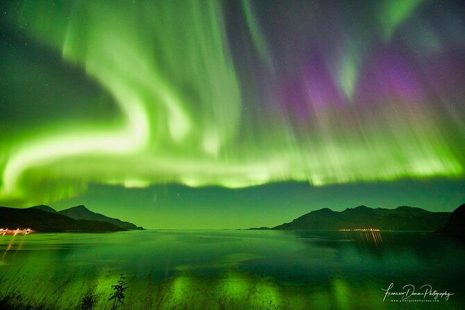 tromso-private-aurora-chase-by-minivan-2