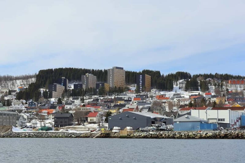 Tromsø: Private Fjord Boat Tour Around the City - Who Will Love This Experience?