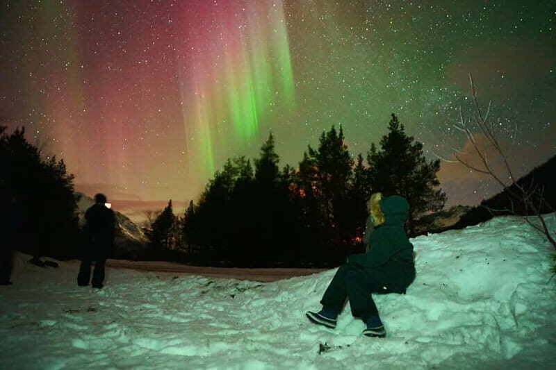 Tromsø: Private Northern Lights Tour with Pro Photographer - Evaluating the Value