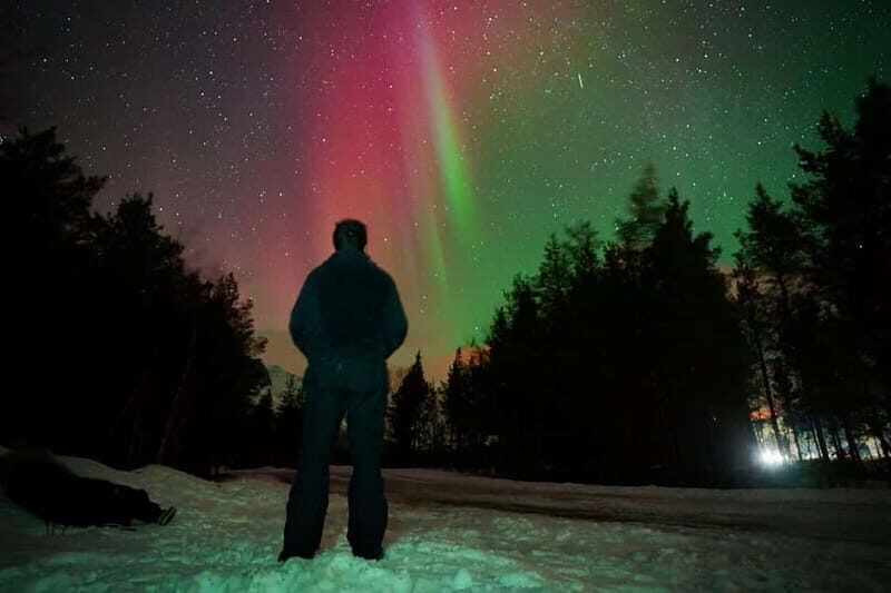Tromsø: Private Northern Lights Tour with Pro Photographer - Who Should Book This Tour?