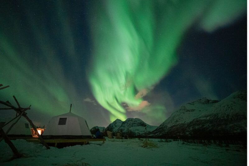 tromso-reindeer-feeding-chance-of-northern-lights-viewing