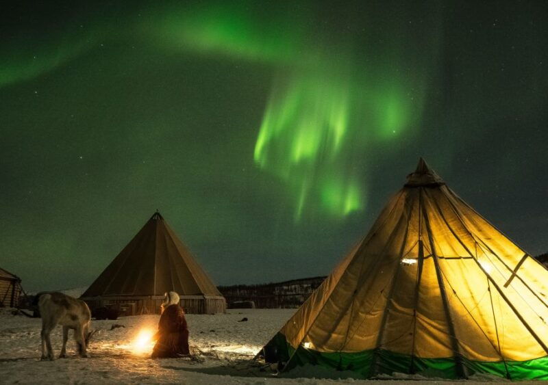 tromso-reindeer-feeding-with-chance-of-northern-lights