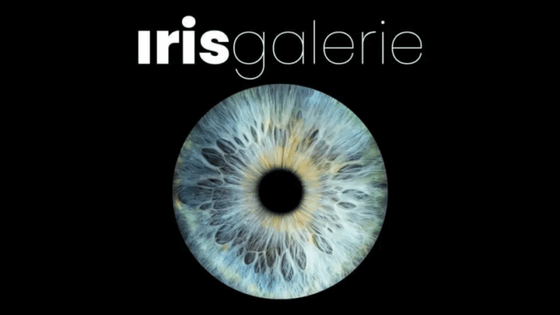 tromso-reveal-your-eye-experience-at-the-iris-galerie