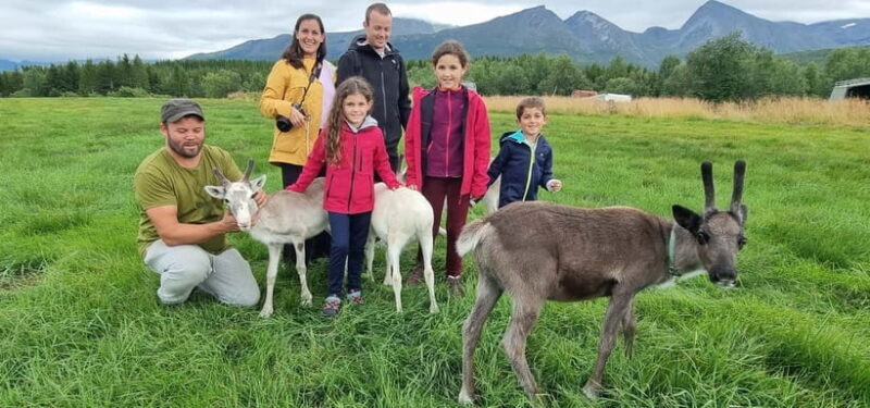 Tromsø: Sami Camp and Reindeer Experience with Lunch - Who Should Book This Experience?