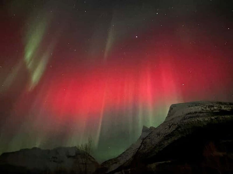 Tromsø: Sami Culture & Joik Experience with Lunch - Overview of the Tour Experience