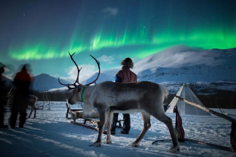 Tromsø: Sami Culture, Northern Lights and Reindeer Feeding - The Journey to Tamokdalen: Scenic and Relaxing