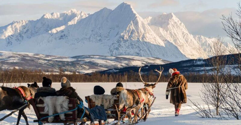 tromso-sami-reindeer-sledding-and-sami-cultural-tour