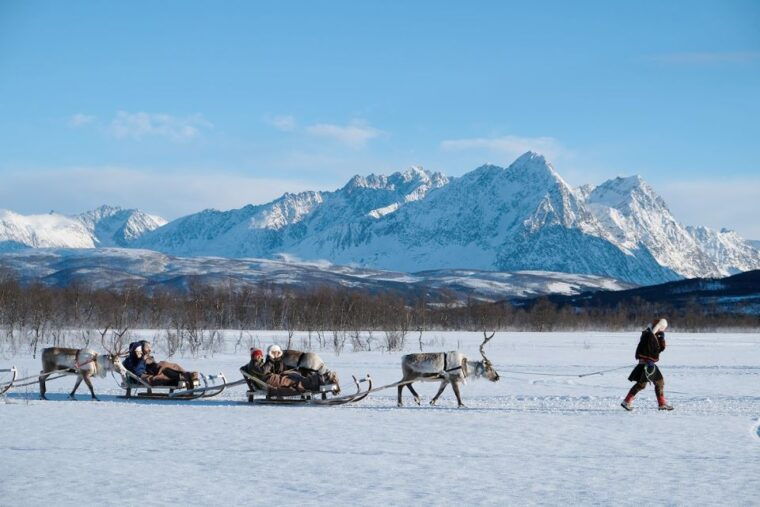 tromso-sami-reindeer-sledding-and-sami-cultural-tour