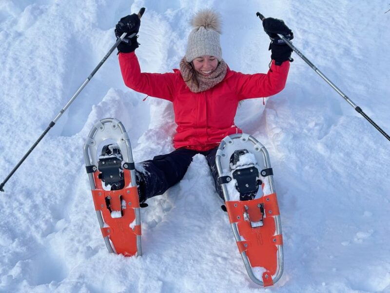 tromso-scenic-eco-friendly-snowshoeing-tour