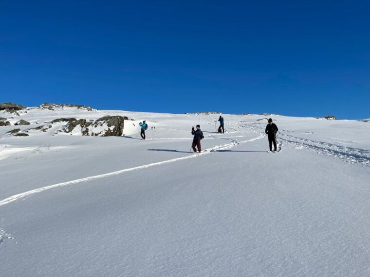 tromso-scenic-eco-friendly-snowshoeing-tour