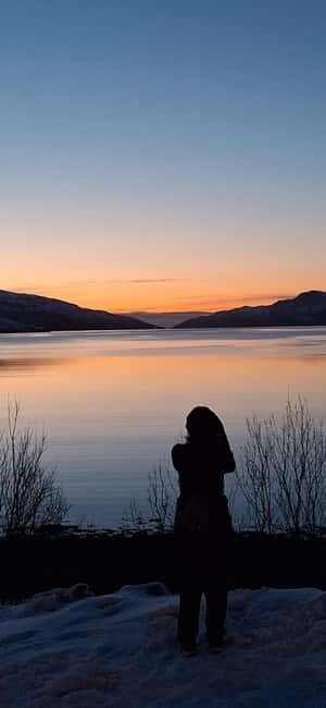 Tromsø: Scenic Fjords & Islands Roadtrip with guide & snacks - Who Will Love This Tour?
