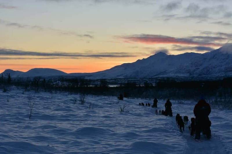 Tromsø: Self-Drive Husky Dog Sledding Adventure - FAQs