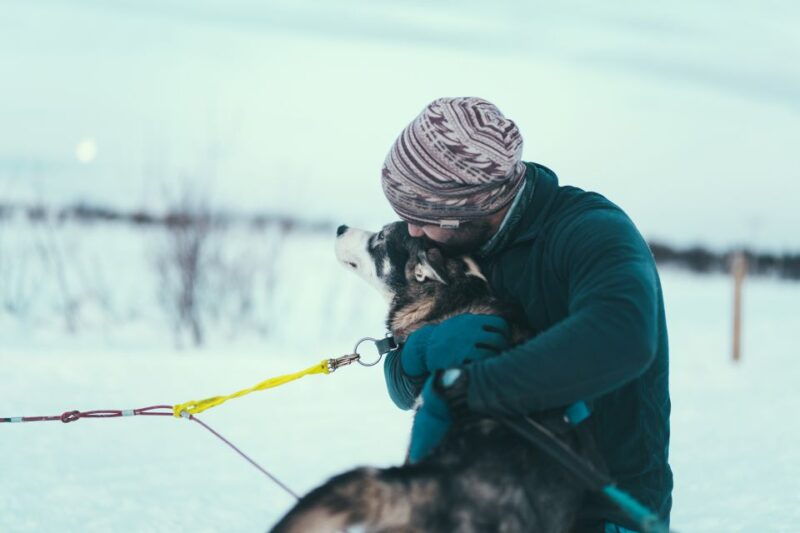 tromso-self-drive-husky-dog-sledding-adventure