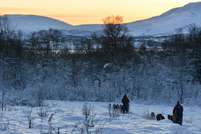 tromso-self-drive-husky-dog-sledding-adventure