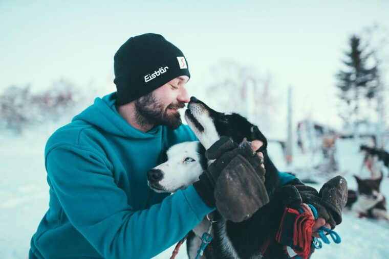 tromso-self-drive-husky-dog-sledding-adventure