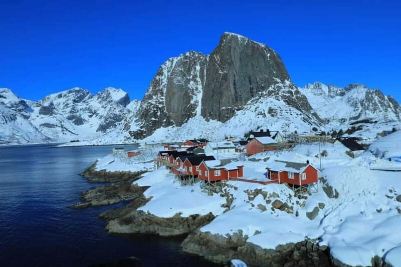 Tromsø, Senja & Lofoten 4 Days and 3 Nights Sightseeing Tour - Tromsø, Senja & Lofoten 4 Days and 3 Nights Sightseeing Tour Review