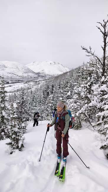 Tromsø: Ski/Randonnee Guided Tour - What Makes This Tour Stand Out?