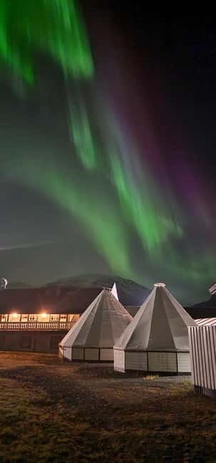 Tromsø/Skibotn: Daytime Sami Culture, Joik & reindeers - The Sum Up: Is It Worth It?