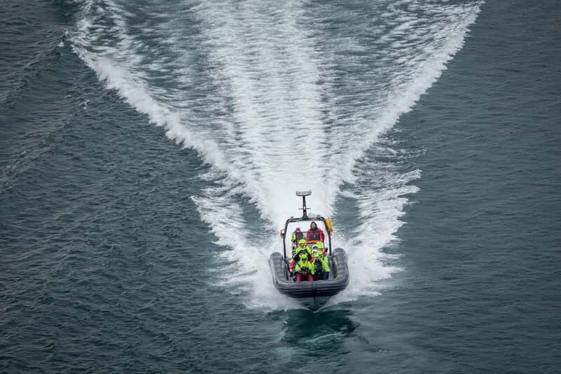 Tromsø: Skjervøy RIB Whale Watching Tour - A Deep Dive into the Whale Watching Experience