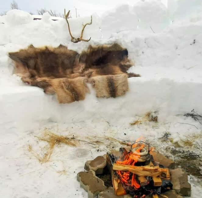 Tromsø: Sledding, Local Traditional Fun, and Winter Magic - Key Points