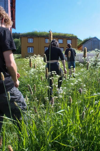 tromso-small-group-fjord-adventure-by-local